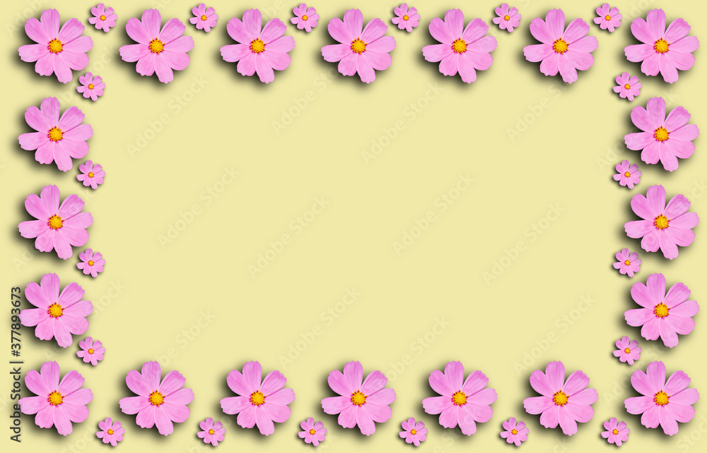 Flower frame with Cosmea flowers on yellow background.