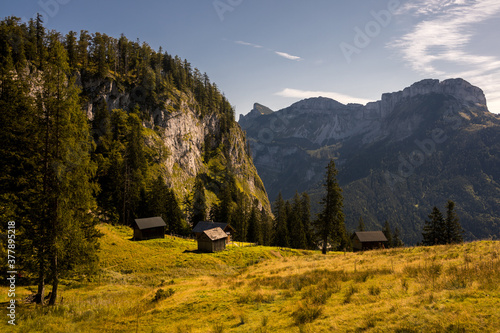 Ausseer Sandlingsalm im Ausserland am Morgen photo