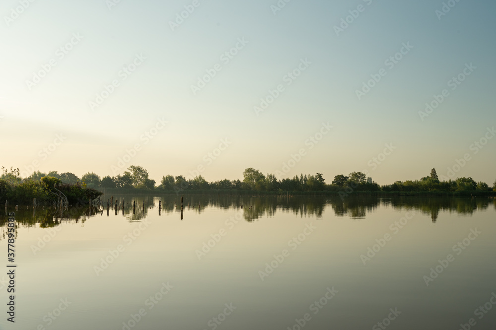 Island in the Reeuwijkse plassen in the golden morning light with reflection in the calm water.