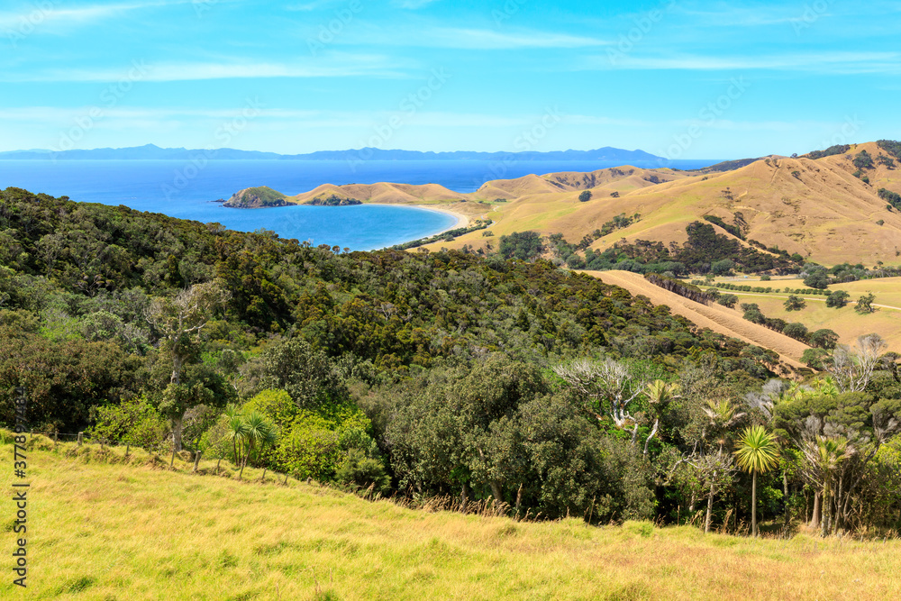 Fletcher Bay on the remote northern tip of the Coromandel Peninsula, New Zealand, seen from the hills. On the horizon is Great Barrier Island