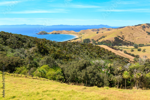 Fletcher Bay on the remote northern tip of the Coromandel Peninsula  New Zealand  seen from the hills. On the horizon is Great Barrier Island
