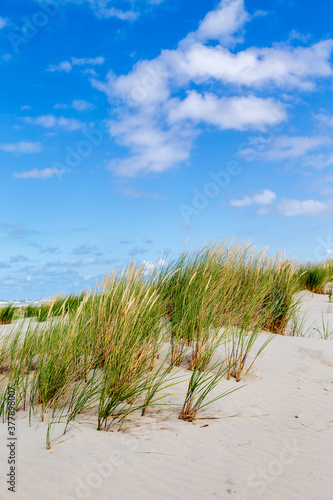 Fototapeta Naklejka Na Ścianę i Meble -  A sunny afternoon at the beach on the East Frisian island Juist, Germany.