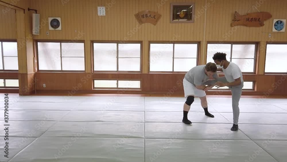 A wrestling coach demonstrates a low single leg takedown in a traditional japanese dojo. vídeo
