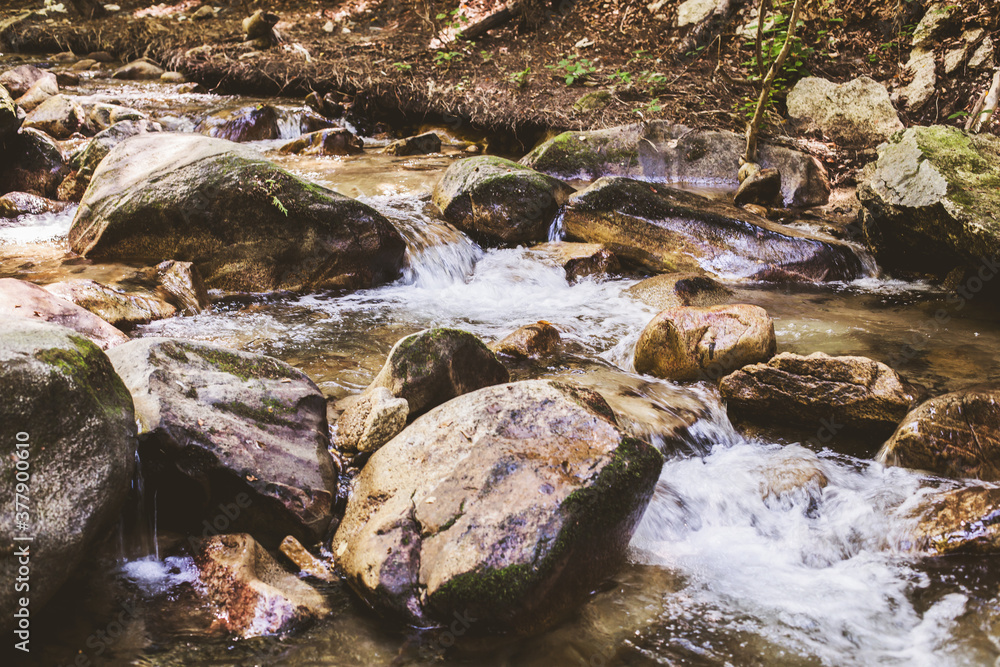 Mountain River Stream Through Summer Forest. Clear Water. Day In Nature. Beautiful Landscape Mountain River Stream Through Summer Forest. Clear Water. Day In Nature. Beautiful Landscape