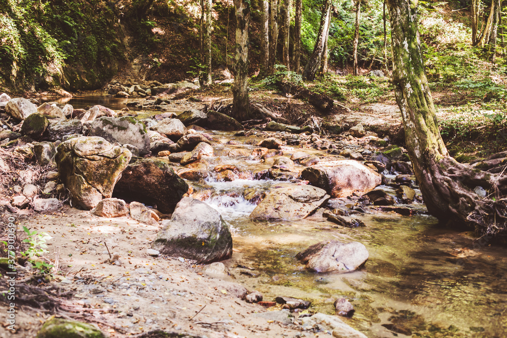 Mountain River Stream Through Summer Forest. Clear Water. Day In Nature. Beautiful Landscape Mountain River Stream Through Summer Forest. Clear Water. Day In Nature. Beautiful Landscape