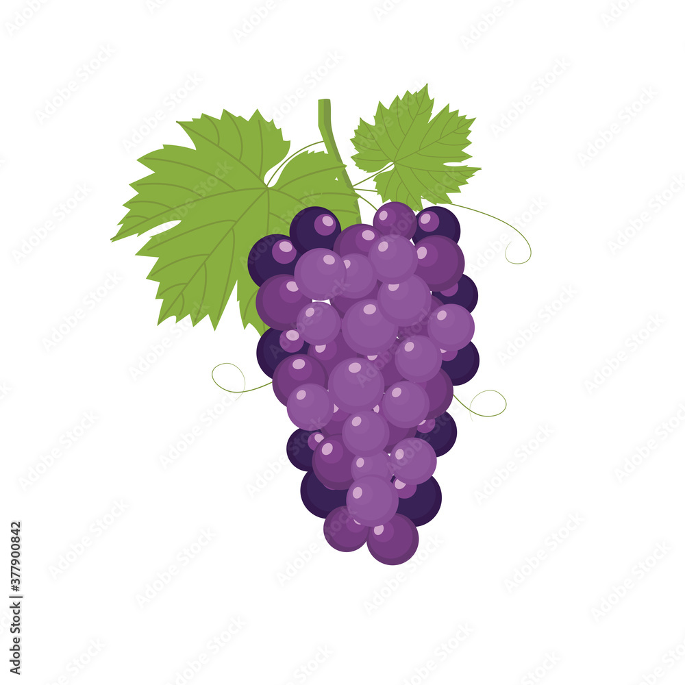 Obraz premium Fresh bunch of grapes purple icon on white background. vector illustration in flat style