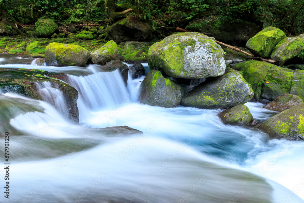 夏の菊池渓谷　広河原　熊本県菊池市　Kikuchi Canyon in Summer Hirogawara  Kumamoto-ken Kikuchi city