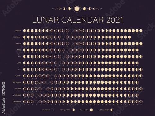 Moon calendar 2021. Lunar phases cycles dates, full. New and every phase in between, moon schedule monthly calendar year vector illustration. Lunar calendar at year, template monthly schedule photo