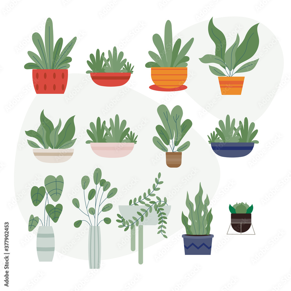 Beautiful pottery plants set on white background vector illustration flat design Beautiful pottery plants set on white background vector illustration flat design