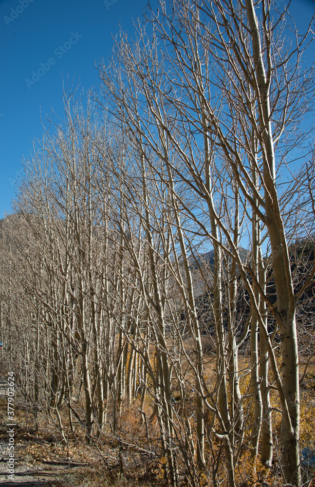 Winter is coming at Bishop California