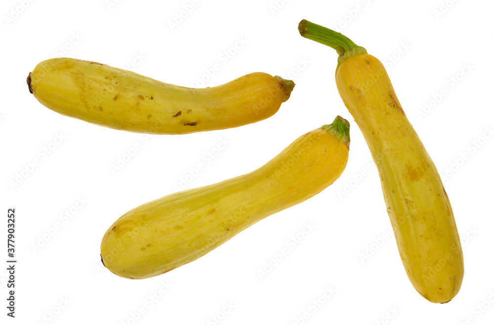 Group of yellow summer squash on a white background