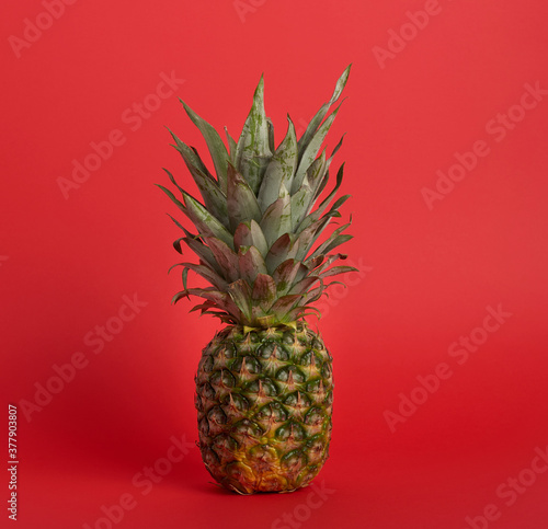 fresh whole pineapple on a red background