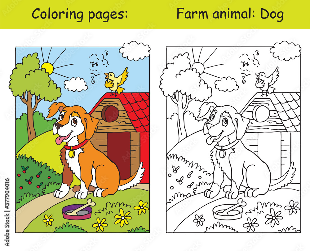 Vector coloring and color for children Dog