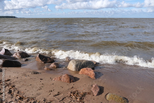 The shore of the Gulf of Finland, Peterhof, September, windy weather, the waves