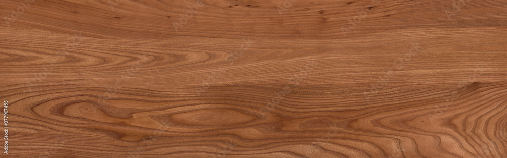 Wood texture background.Natural wood pattern. texture of wood Wood texture background.Natural wood pattern. texture of wood