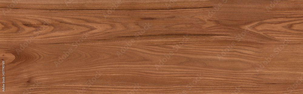 Naklejka premium Wood texture background.Natural wood pattern. texture of wood