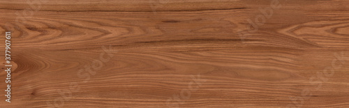 Wood texture background.Natural wood pattern. texture of wood