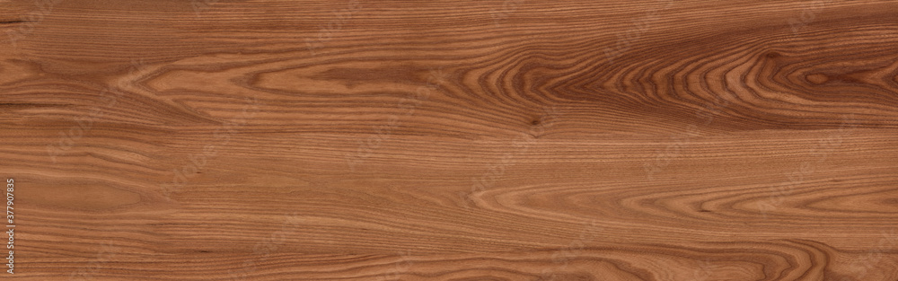 Wood texture background.Natural wood pattern. texture of wood Wood texture background.Natural wood pattern. texture of wood
