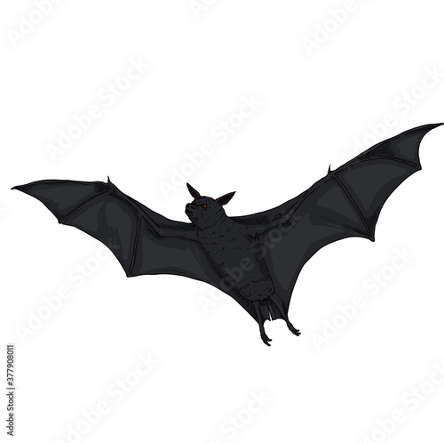Vector Cartoon Flying Black Bat