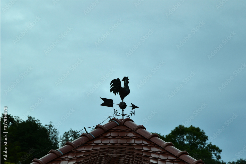 Rooster weather-vane showing a wind direction. Traditional weathercock on the roof of a house. Decorative cock weather vane.
