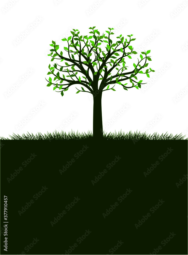 Naklejka Shape of Tree with leaves. Vector outline Illustration. Plant in Garden.