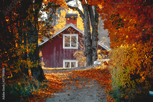 Beautiful autumn in colour in Sweden