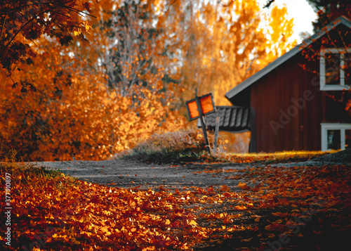 Beautiful autumn in colour in Sweden