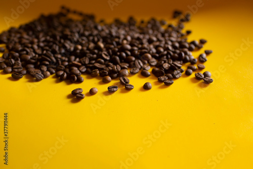 brown coffee seeds on the yellow background