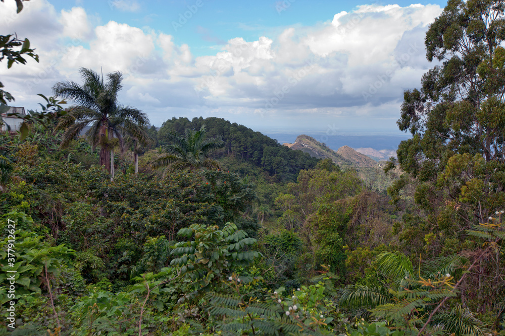 Panoramic view on tropical nature. Cuba.. Panoramic view on tropical nature. Cuba..