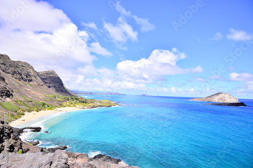 Fototapeta Naklejka Na Ścianę i Meble -  ハワイの海 ocean of Hawaii