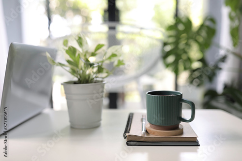 Vintage green mug with plant pot and notebooks on white table interior home  © paladin1212