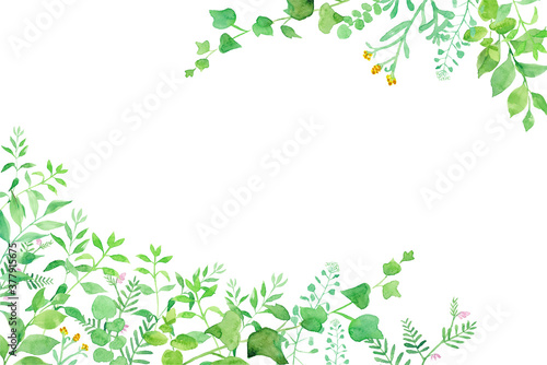 グリーンの草花の２隅装飾フレーム　水彩イラストのトレースベクター。（レイアウト変更可能）