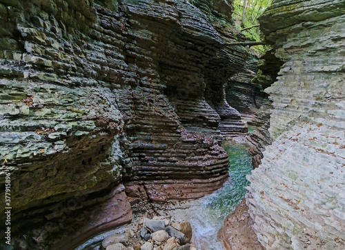 Canyon Brent de l'Art