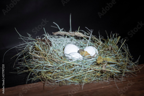Chicken eggs in the nest.