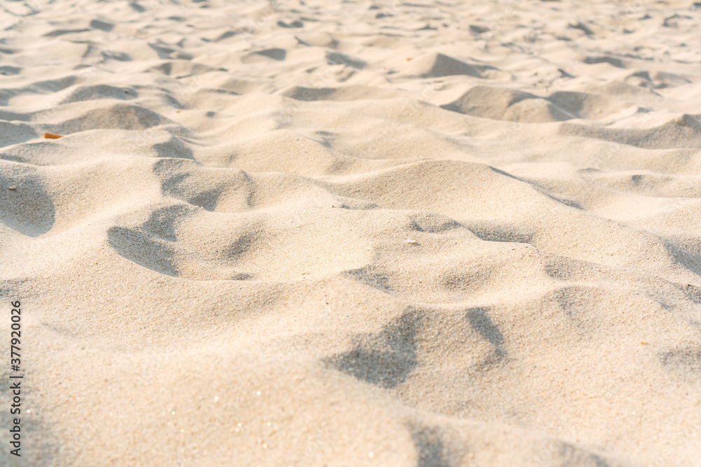 Fototapeta premium Sand texture. Sandy beach for background. Close up, copy space.