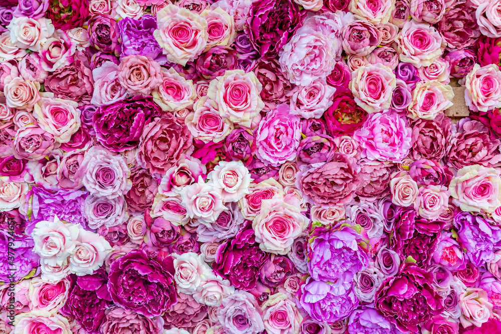 Roses Background Roses Background