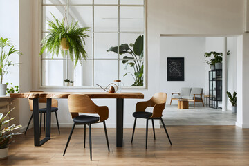 Stylish and botany interior of dining room with design craft wooden table, chairs, a lof of plants, window, poster map and elegant accessories in modern home decor. Template.