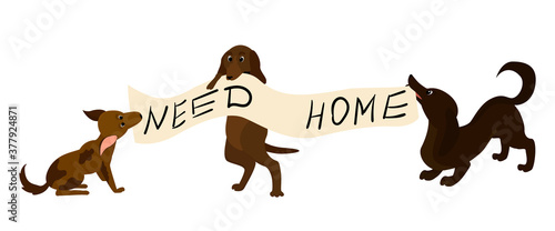  adopt homeless dog illustration . Help homeless animals concept, sad puppies with text banner need home. Cartoon lonely pets isolated on white
