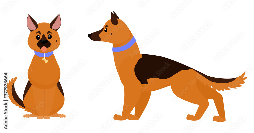 German shepherd dog or Alsatian wolf  isolated on white. Two cartoon dogs standing and sitting vector illustration. Home pet flat style