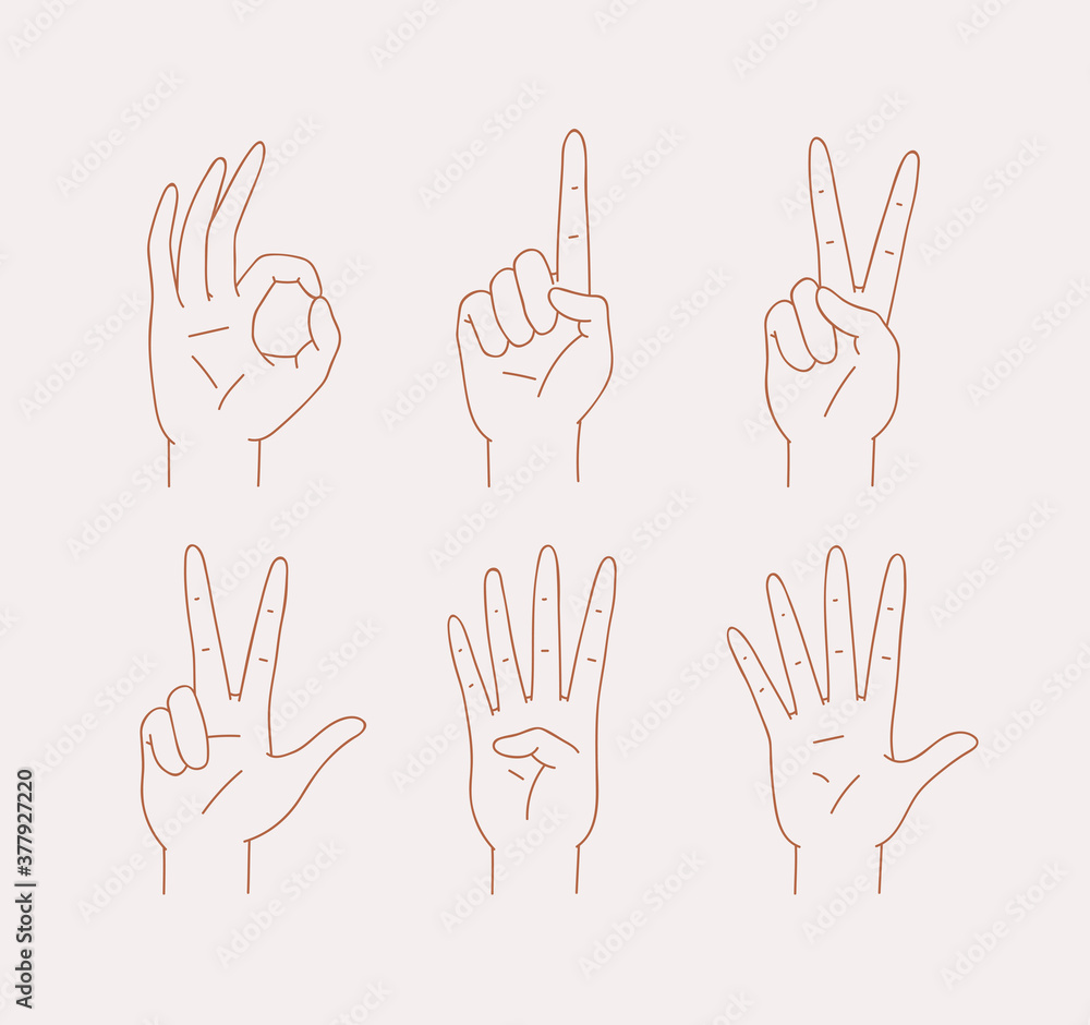 Set of outline counting hands signs zero, one, two, three, four, five. Communication gestures concept on liner style. Human fingers showing numbers from 0 to 5. Vector illustration isolated on white Set of outline counting hands signs zero, one, two, three, four, five. Communication gestures concept on liner style. Human fingers showing numbers from 0 to 5. Vector illustration isolated on white