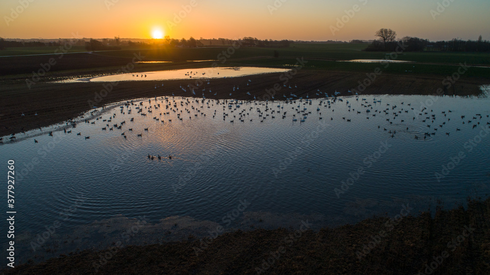 Fototapeta premium sunset over the river