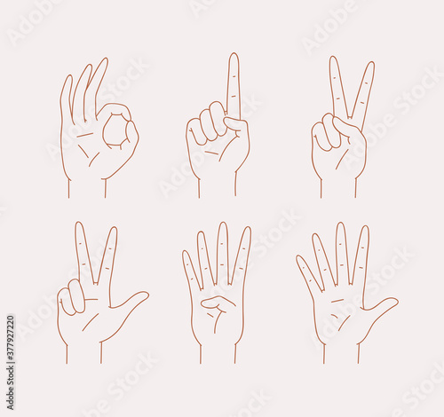 Set of outline counting hands signs zero, one, two, three, four, five. Communication gestures concept on liner style. Human fingers showing numbers from 0 to 5. Vector illustration isolated on white