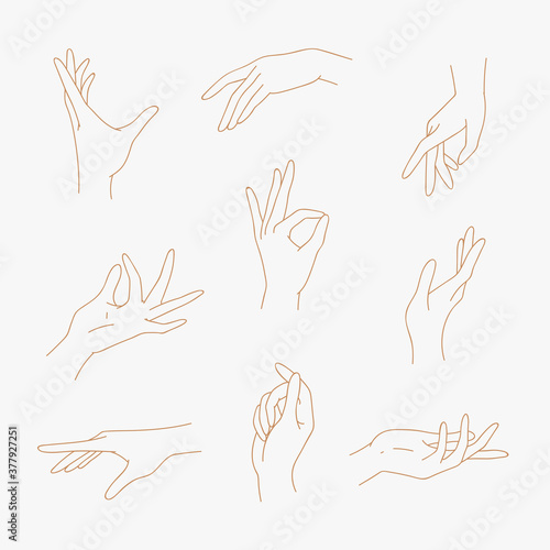 Set of various outline gestures isolated. Vector illustration of golden female minimalism hands in a realistic poses, modern elegant thin liner style. Design elements, icons, logos, emblems, signs