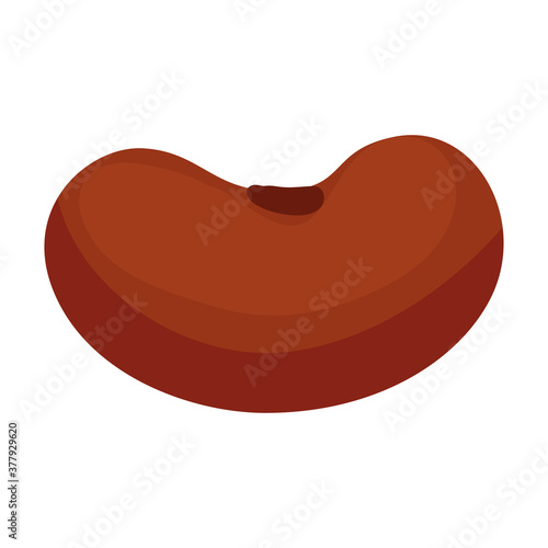 grain of bean on white background vector illustration design