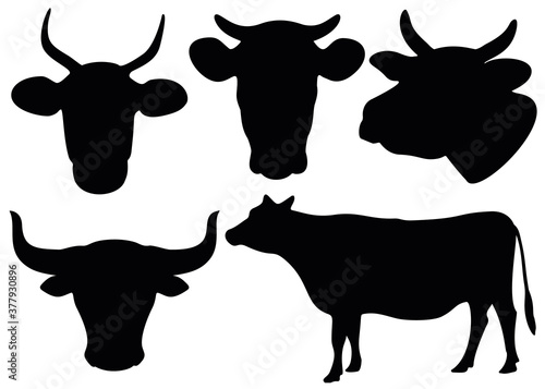 The head of a cow and a bull in the set. Full-length cow.