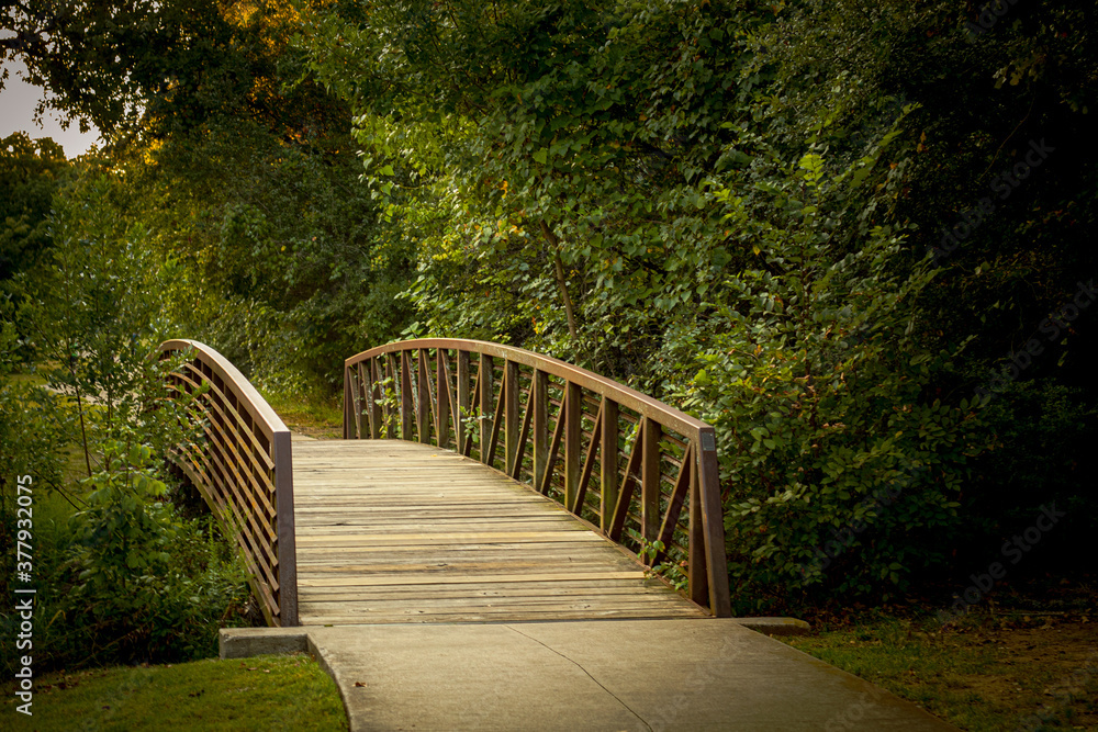 Rustic iron bridge walking path on fall day