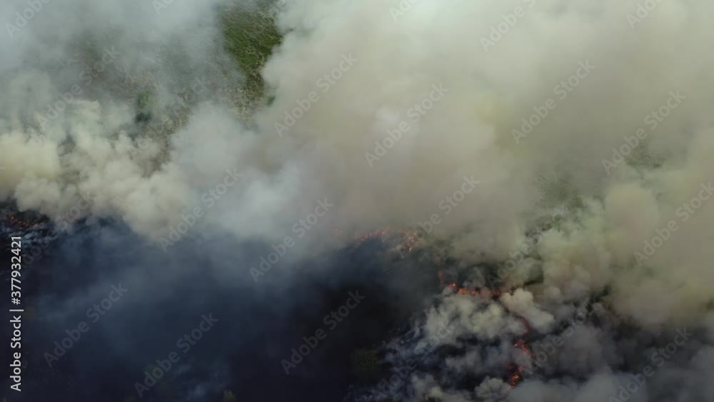 Aerial top view of Forest Fire or WildFire, burning dry grass and trees, natural disaster. Aerial top view of Forest Fire or WildFire, burning dry grass and trees, natural disaster.
