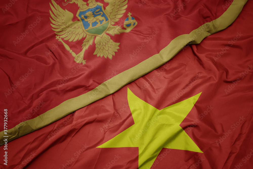 waving colorful flag of vietnam and national flag of montenegro.