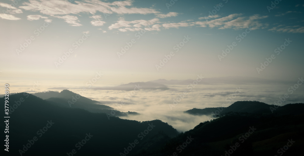 Fototapeta premium valley and mist morning time