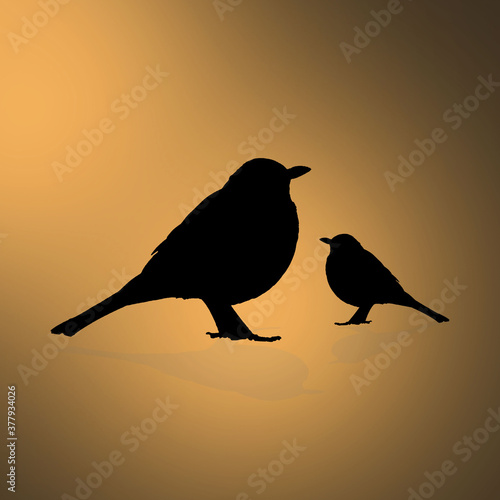 Silhouette of a sparrow and a sparrow on a yellow background